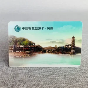 Customized Printed RFID Entrance Ticket for Party/Events/Parks